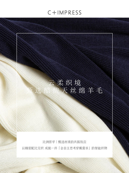 C+IMPRESS/西嘉天丝羊毛 撞色圆领复古显瘦针织衫女秋季新款上衣 商品图4