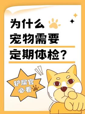 铲屎官必看！宠物为什么要体检？多久一次？