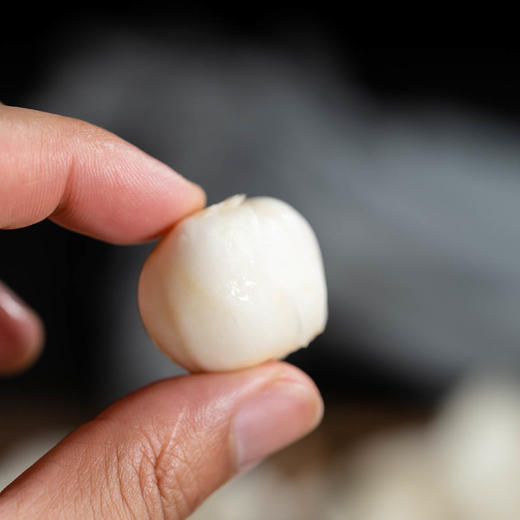 有机兰州百合（碗装）丨精选兰州甜百合片，生长周期6年以上，洁白如玉，生吃爽脆甜美，纤维很少，⭐️顺丰快递 商品图4