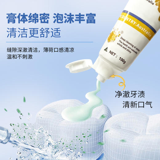 热卖！「拍6支立减10元」Kissaint 蜂胶白净牙膏 清洁 亮齿 温和不刺激 澳洲原装进口 100g/支 商品图2