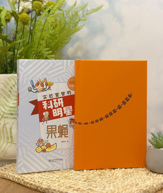 实验室里的科研明星——果蝇 商品图2