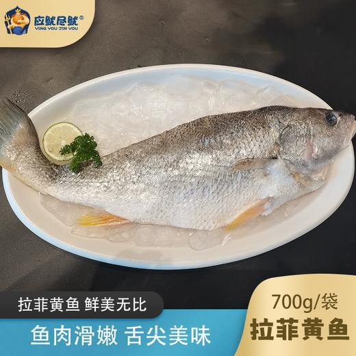 【顺丰冷链】应鱿尽鱿 拉菲大黄鱼 开背腌制 清蒸海鲜 免杀开背腌制 - 海福特 商品图2