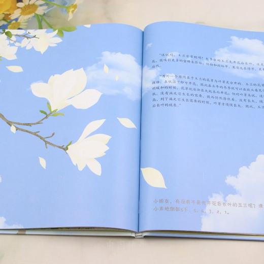 G-木兰花开 &3322 商品图4