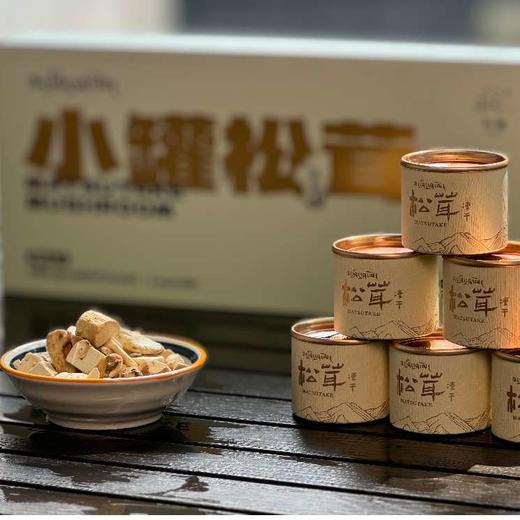 冻干小罐松茸15g（1.5g*10罐） 商品图1