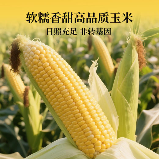 太丰新品酥脆好吃粒粒饱满玉米花爆米花休闲零食 商品图2