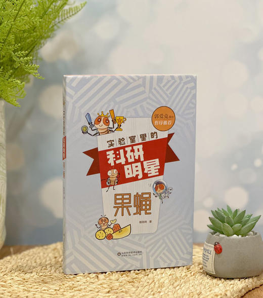 实验室里的科研明星——果蝇 商品图1