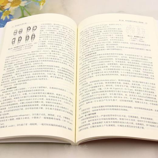 E草坪保护学（第2版） &3037 商品图2