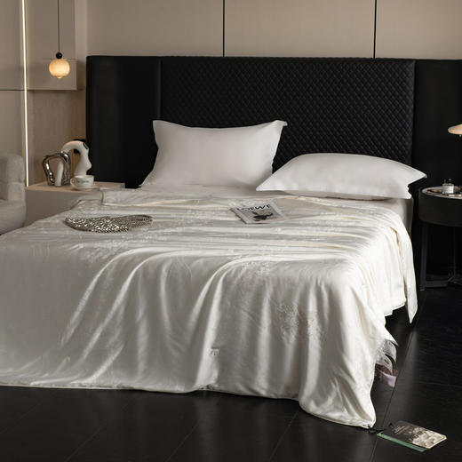 偏偏蝴蝶纯蚕丝夏被 超20%更蓬松的体验 高达90%的亲肤指数 远超6A级生丝水平 商品图1