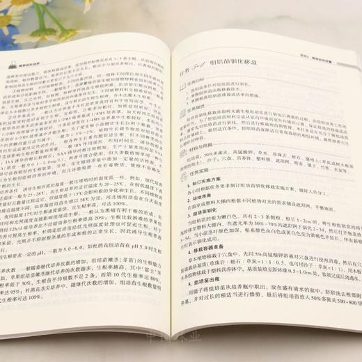 E植物组织培养 &3251 商品图3