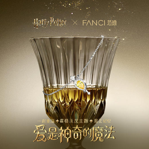 Fanci范琦×哈利波特联名系列福灵剂项链送女生礼物 商品图1