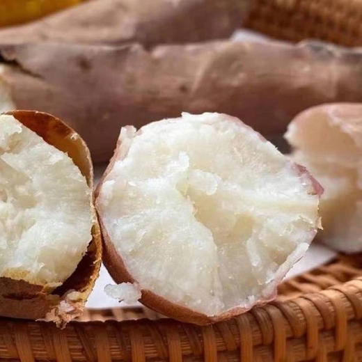 哈密冰糖蜜薯 净重3-4.5斤装 粗粮白薯 商品图8