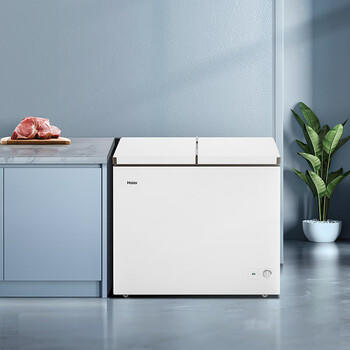 海尔（Haier）216升双温双箱商用家用冰柜 蝶门卧式冰柜家用小型冰箱冷柜FCD-216LHSD /家用电器 /大 家 电 /冷柜 商品图6