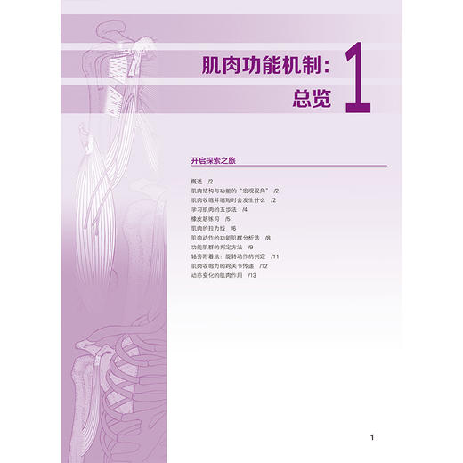 肌肉骨骼功能解剖涂色书 商品图6