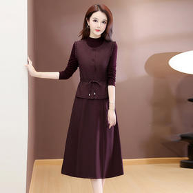 QYM 54C2511-Y马甲配连衣裙时尚气质两件套