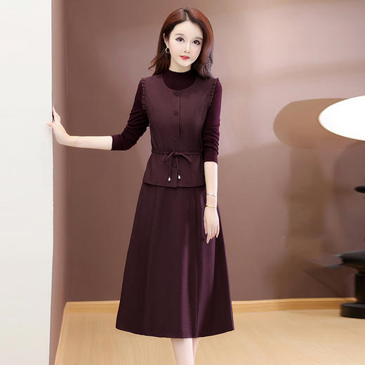 QYM 54C2511-Y马甲配连衣裙时尚气质两件套 商品图0