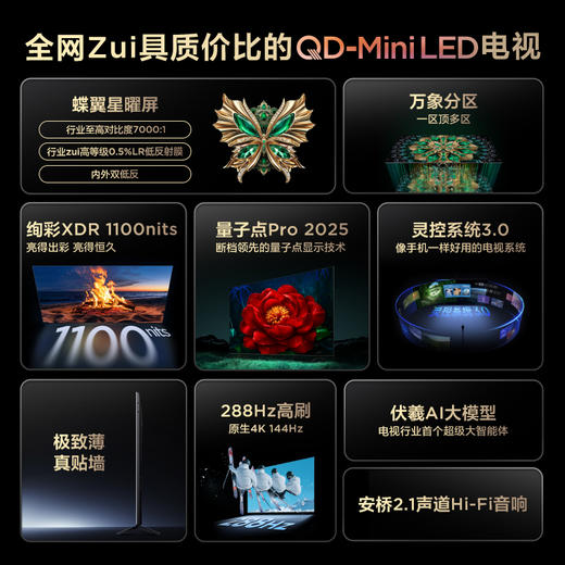 TCL电视 65T6L Pro 65英寸 QD-Mini LED 蝶翼星曜屏 万象分区 绚彩XDR 1100nits 超薄电视 商品图1