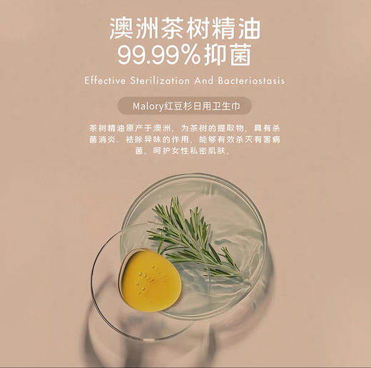 澳洲进口Malory红豆杉嫩肤卫生巾套装  A-5932 商品图7
