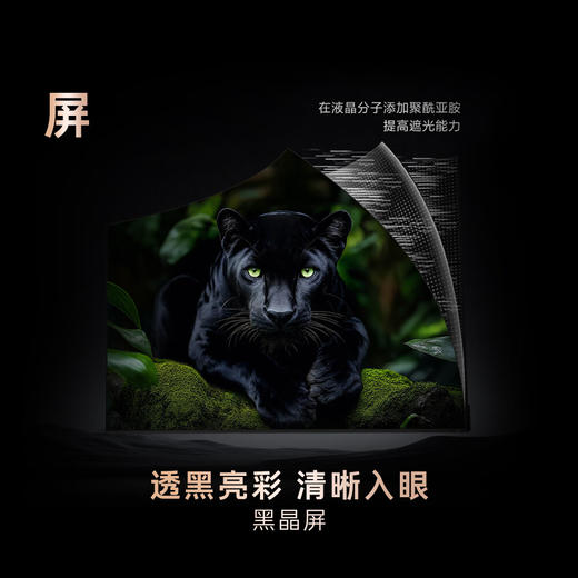 卡萨帝（Casarte）揽光壁画电视K85E8 Pro 85英寸4K超高清纯平0贴壁纸艺术 3024分区MiniLED 灵动指向遥控 国家补贴 商品图2