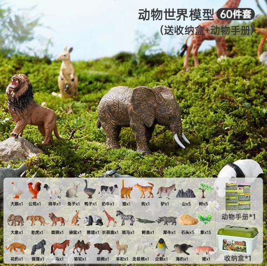 贝恩施动物模型儿童仿真玩具认知早教海洋野生动物园宝宝礼物 商品图5