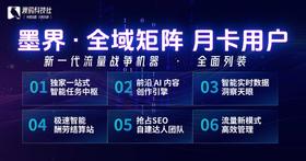 墨界矩阵3.0代发系统教程补充