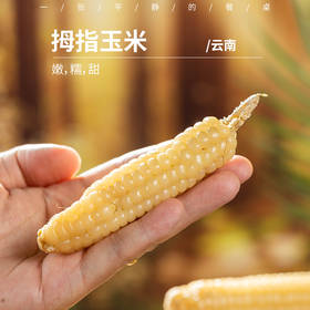 拇指玉米丨低产量的老品种玉米，泉水蒸煮，嫩、糯、甜，真空包装，小朋友的最爱，一次一根刚刚好！⭐️韵达/中通/申通随机
