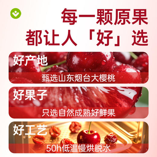 【鲜食】酸甜无核樱桃干250g 果干果脯 保质期90天 商品图4