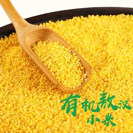 周三取货：【有机小米】一盒500克，当季新粮，米油醇厚。 商品图2