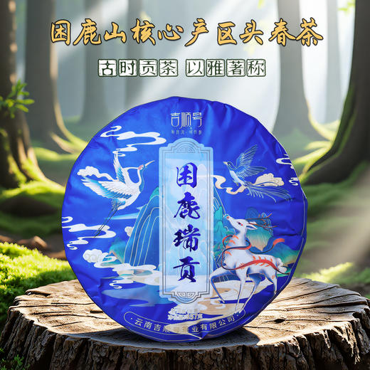 2024春茶-吉顺号私家茶园 困鹿山古树普洱茶春茶生饼357克/饼（买7送1） 商品图0