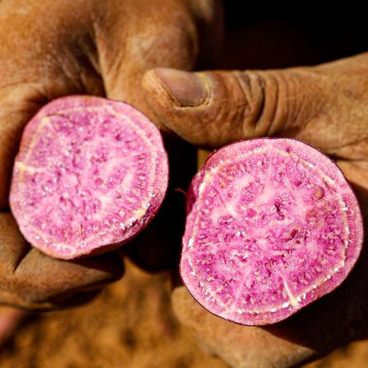 【双十二特惠多送1斤到手5斤】云南蜜糖紫薯丨肉质细腻，不腻不粘，风味十足，通风处存储，请勿放在冰箱 ⭐️中通/申通随机 商品图6