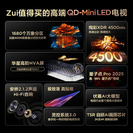 TCL电视 65Q9L 65英寸 QD-Mini LED 华星高阶HVA屏 万象分区 绚彩XDR 4500nits 超薄电视 商品图1