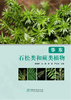 华东石松类和蕨类植物 &2968 商品缩略图0