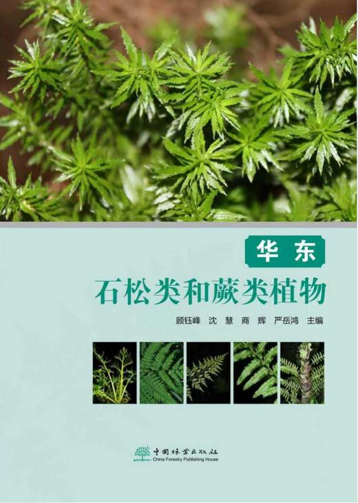 华东石松类和蕨类植物 &2968 商品图0