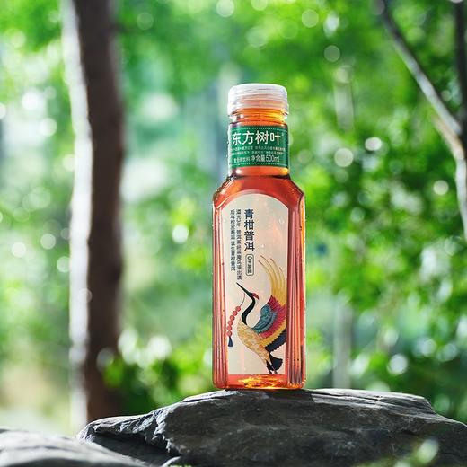 东方树叶青柑普洱复合茶饮料 500ml 商品图3