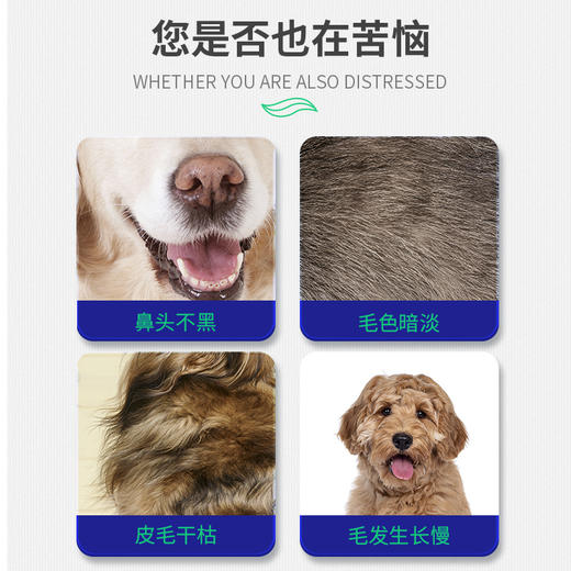 【MAG海藻美毛粉400g】宠物狗狗防脱毛保护皮肤美毛 黑鼻头增加色素沉淀 商品图2