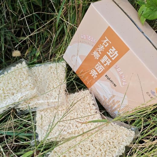 石麦香劲野面条 | 低脂非油炸 口感Q弹爽滑 | 基地直发 * Noodles 商品图3