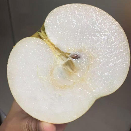 【自营】山东秋月梨4.5斤/7斤  顺丰/京东 商品图2