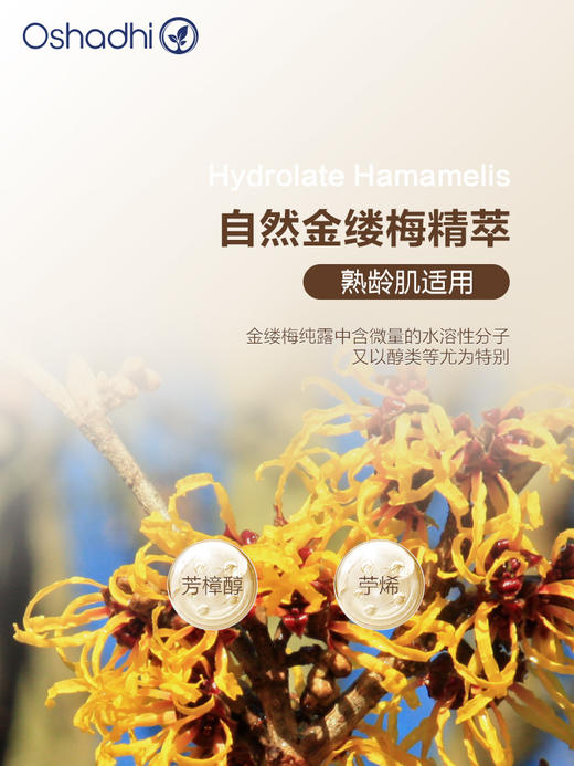 oshadhi德国O家金缕梅纯露 抗皱 花水爽肤水 化妆水 熟龄肌肤 商品图1