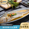 【顺丰冷链】应鱿尽鱿 拉菲大黄鱼 开背腌制 清蒸海鲜 免杀开背腌制 - 海福特 商品缩略图1