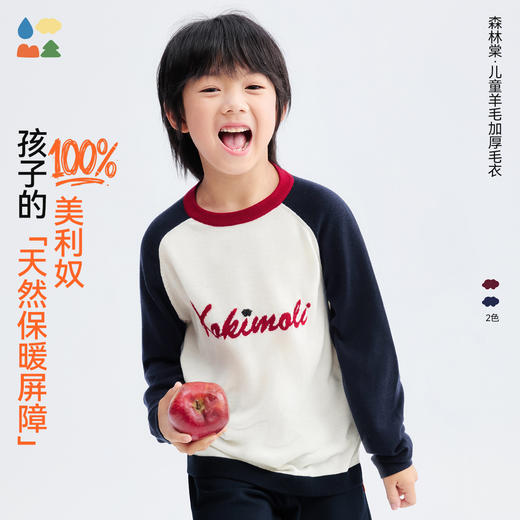 【插肩袖羊毛毛衣】森林棠25秋冬新款美利奴复古经典撞色针织儿童毛衣60553109 商品图0
