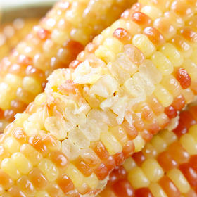 元气壹号 西双版纳巴掌小玉米