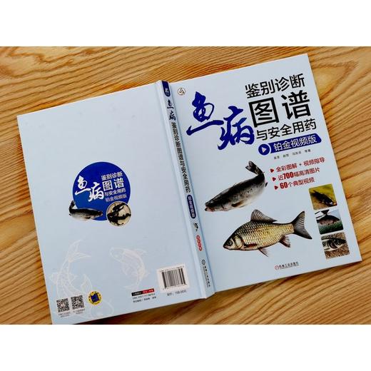 鱼病鉴别诊断图谱与安全用药 铂金视频版 袁圣 鱼病诊治 高效养鱼 鱼病鉴别 提高鱼养殖效益 鱼病鉴别诊断书籍 商品图2