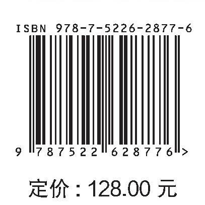 河湖水系连通与水安全保障关键技术研究及应用 商品图2
