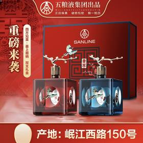 【五粮液生态奢享·四方见喜】官方授权 52度优级酒 500ml*2瓶/礼盒配礼袋
