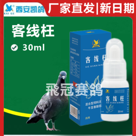 凯鸽克腺王客线枉30ml赛鸽信鸽子保健日常