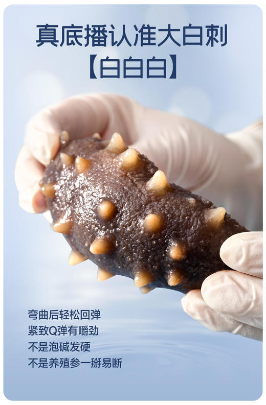 【现货】极盏大连长海县 6-7年足龄参 正宗底播大辽参  8-10头 商品图5