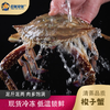 【顺丰冷链】梭子蟹 整只特大螃蟹 鲜活冷冻 海鲜水产 可清蒸 - 海福特 商品缩略图2