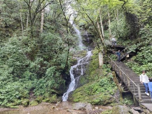 “十一”湖北活动 | 研学神农架，探寻野人踪迹， 勘察地质奇观，邂逅美丽川金丝猴 商品图6