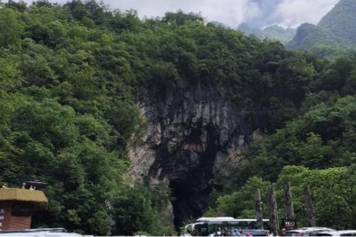 “十一”湖北活动 | 研学神农架，探寻野人踪迹， 勘察地质奇观，邂逅美丽川金丝猴 商品图3