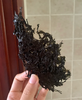 头水紫菜直接当零食吃!【果然U品 即食烤紫菜】免切免撕免洗直接吃💯鲜、甜、滑、嫩🙌鲜掉眉毛的“海上松茸”，营养满分 ✅严选中国「“紫菜之乡”」福建一霞浦的头茬紫菜❗️ 商品缩略图3