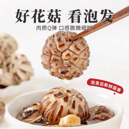 在菌屋 云南农家椴木大花菇（直径6-8cm） 300g/袋 肉质厚实 口感鲜香嫩滑 菇香浓郁 商品图3